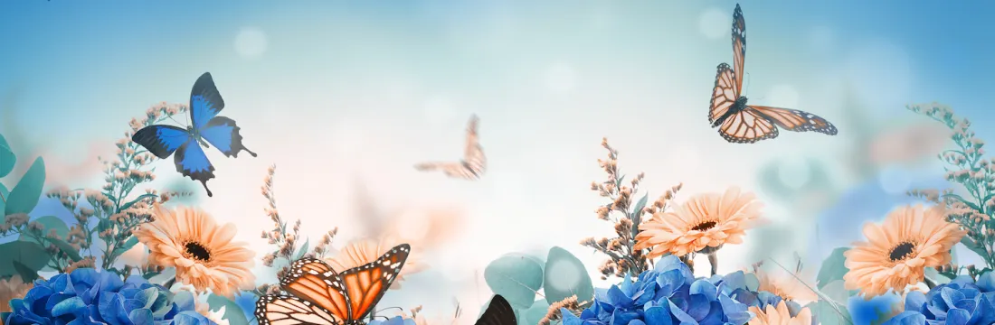 Custom image showing  for my whole life page - Professional Drupal theming and development services