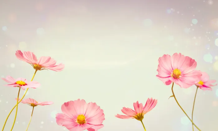 Being deeply loved by someone gives you strength, while loving someone deeply gives you courage. – Lao Tzu
