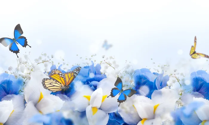 Custom image showing  books are the quietest and most constant of friends; they are the most accessible and wisest of counselors page - Professional Drupal theming and development services