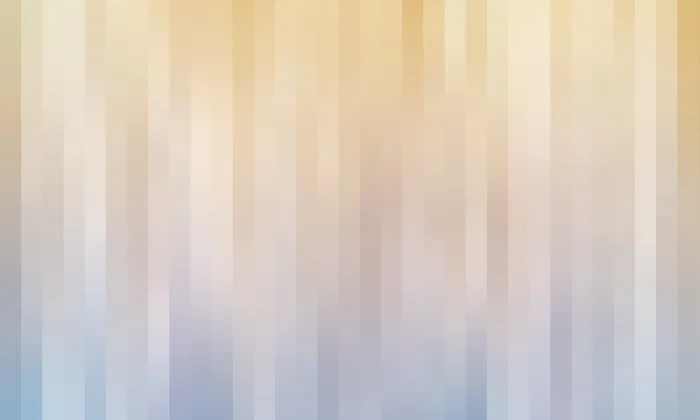 Paragraph Bundle Image