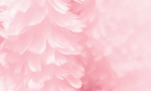 Custom image showing  paragraph bundle link page - Professional Drupal theming and development services