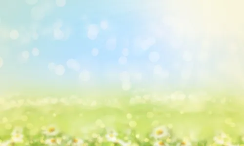 Custom image showing  paragraph bundle parallax page - Professional Drupal theming and development services