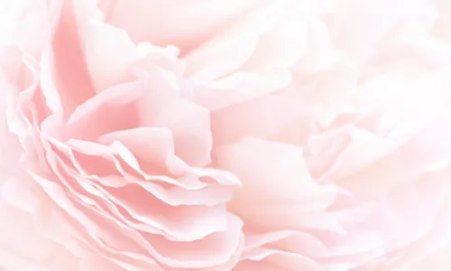 Custom image showing  libraries will get you through times of no money better than money will get you through times of no libraries. – anne herbert page - Professional Drupal theming and development services