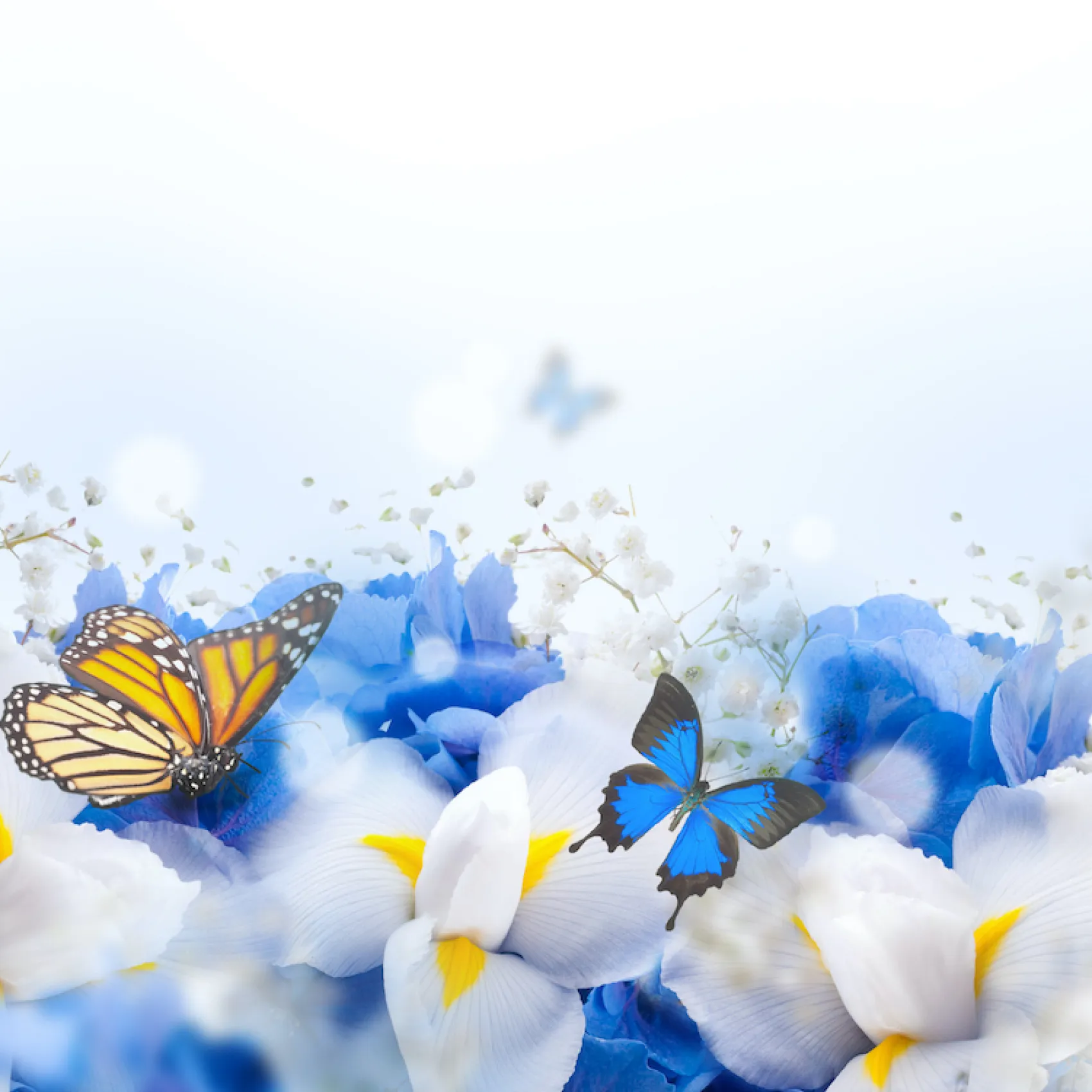 Custom image showing  books are the quietest and most constant of friends; they are the most accessible and wisest of counselors page - Professional Drupal theming and development services
