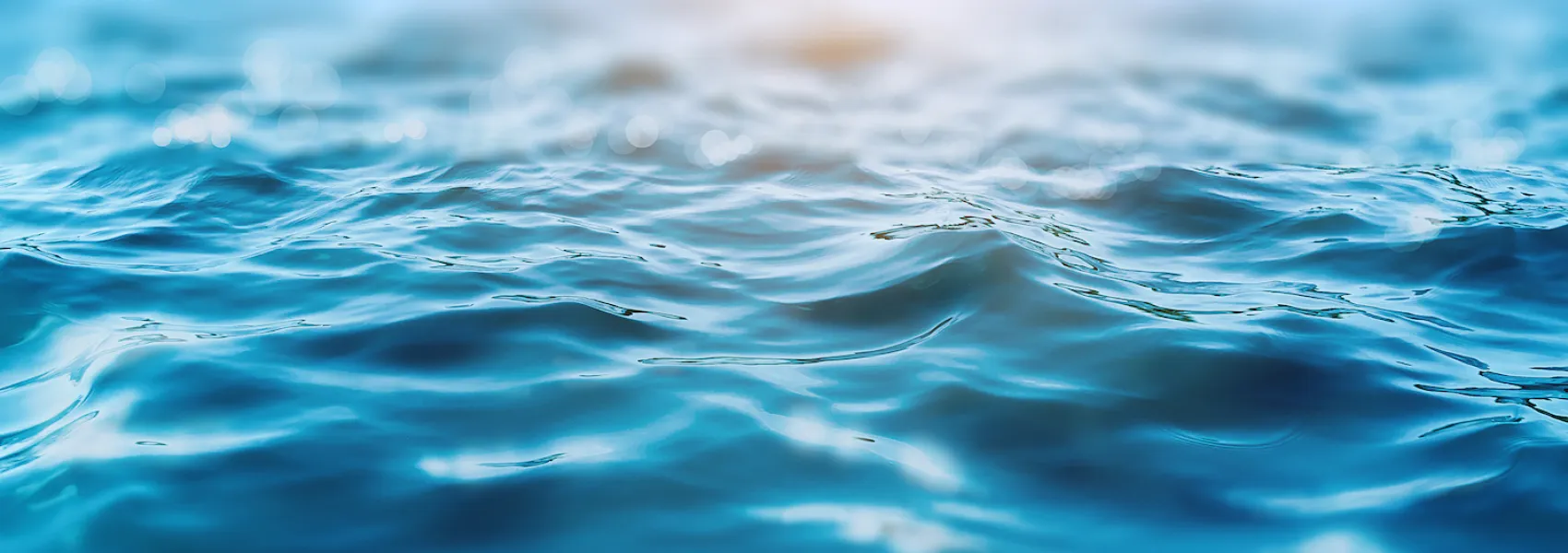 Custom image showing  reading furnishes the mind only with materials of knowledge; it is thinking that makes what we read ours. – amira locke page - Professional Drupal theming and development services