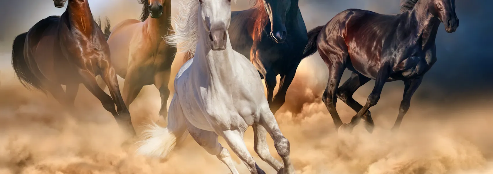 Custom image showing  paragraph bundle 3d carousel page - Professional Drupal theming and development services