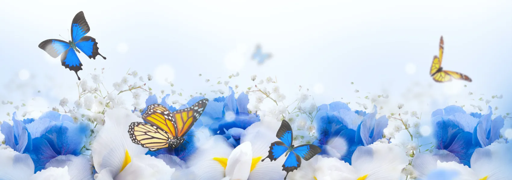 Custom image showing  books are the quietest and most constant of friends; they are the most accessible and wisest of counselors page - Professional Drupal theming and development services
